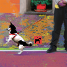 trackerdog